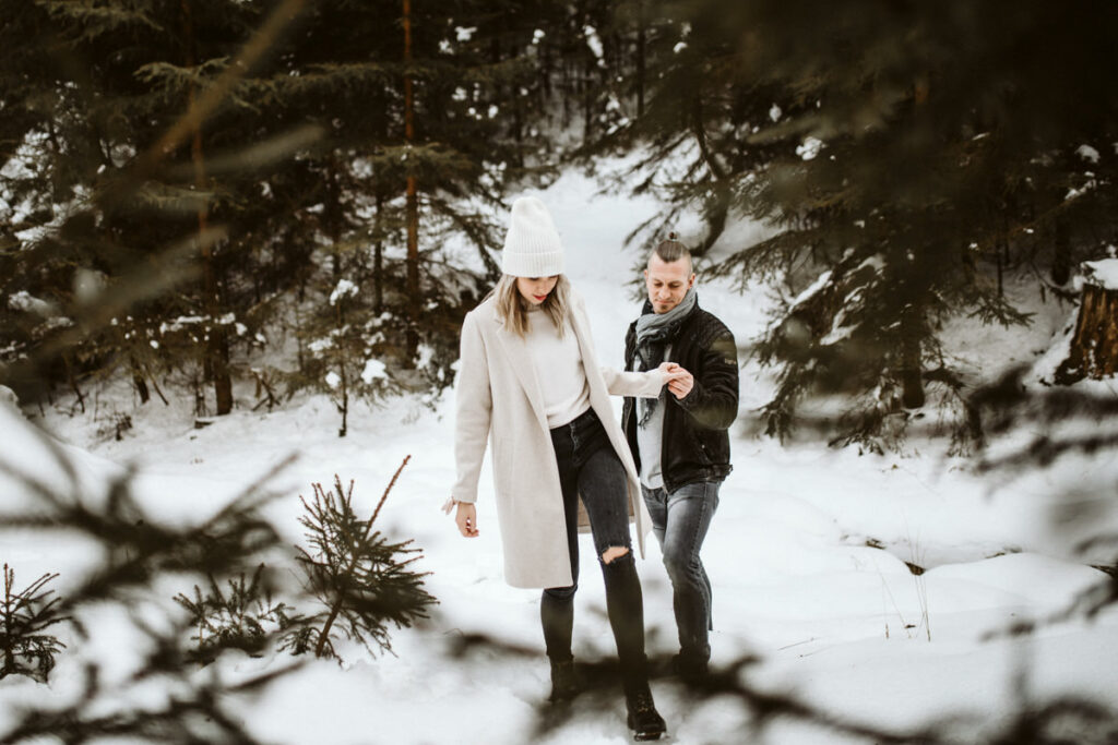 Schneefotos im Wald